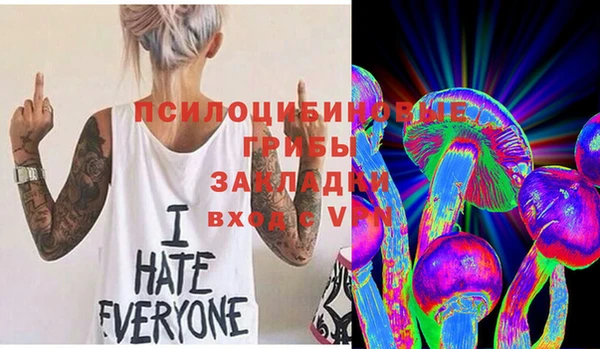 тгк Абинск