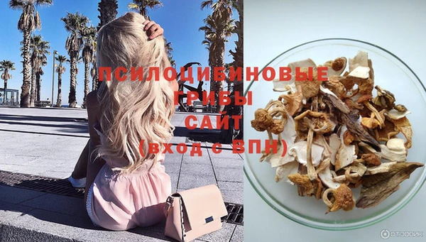 тгк Абинск